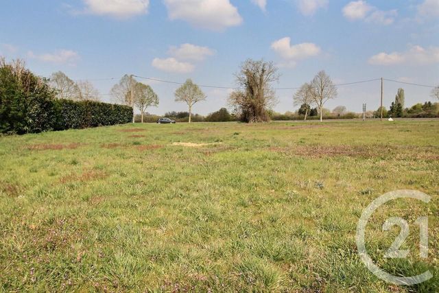 terrain à vendre - 1566.0 m2 - MUIDES SUR LOIRE - 41 - CENTRE - Century 21 Girault Immobilier
