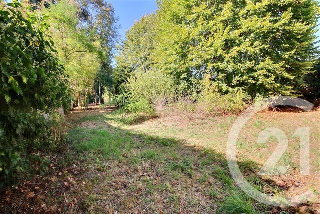 maison à vendre - 7 pièces - 279.21 m2 - COUR SUR LOIRE - 41 - CENTRE - Century 21 Girault Immobilier