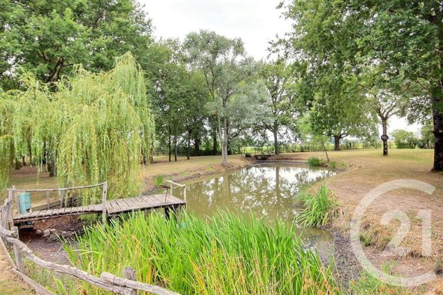 maison à vendre - 5 pièces - 191.0 m2 - ST LAURENT NOUAN - 41 - CENTRE - Century 21 Girault Immobilier