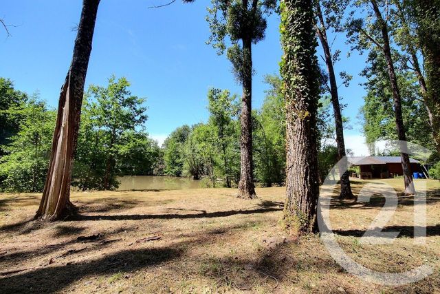 terrain à vendre - 9375.0 m2 - VERNOU EN SOLOGNE - 41 - CENTRE - Century 21 Girault Immobilier