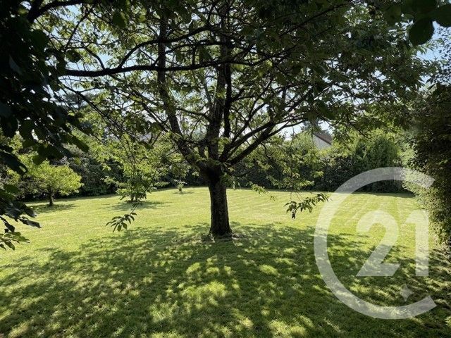 terrain à vendre - 800.0 m2 - MUIDES SUR LOIRE - 41 - CENTRE - Century 21 Girault Immobilier