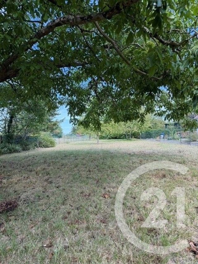 terrain à vendre - 975.0 m2 - ST DYE SUR LOIRE - 41 - CENTRE - Century 21 Girault Immobilier